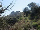 photo thumbnail #15