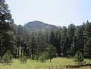 2021-07-20 :3: Arizona Fire Lookouts II :: DixieFlyer