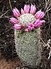 photo thumbnail #1
