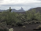 photo thumbnail #2