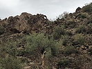photo thumbnail #4