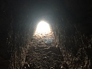 photo thumbnail #10