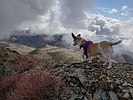photo thumbnail #4