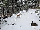 photo thumbnail #13