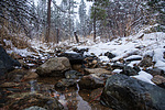 photo thumbnail #15