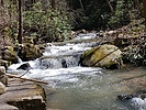 photo thumbnail #5