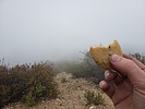 photo thumbnail #14