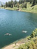 photo thumbnail #2