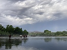 photo thumbnail #2