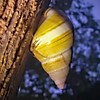 photo thumbnail #10