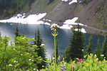photo thumbnail #13