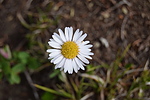 photo thumbnail #14