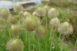 photo thumbnail #15