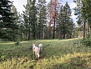 photo thumbnail #2