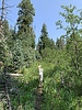 photo thumbnail #6