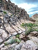 photo thumbnail #14