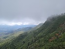 recent photo