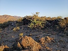 photo thumbnail #3