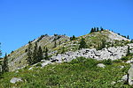 photo thumbnail #2