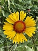 photo thumbnail #11