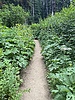 photo thumbnail #10