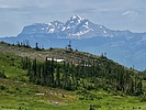 Featured Full Photo