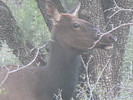 photo thumbnail #10