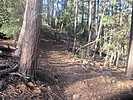 photo thumbnail #12