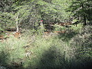 photo thumbnail #13