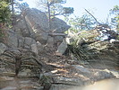 photo thumbnail #14