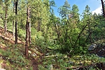 photo thumbnail #3