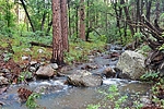 photo thumbnail #4