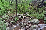 photo thumbnail #5