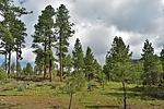 photo thumbnail #13