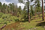 photo thumbnail #14