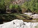 photo thumbnail #5