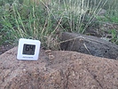 photo thumbnail #13