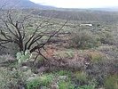 photo thumbnail #15