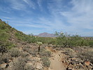 photo thumbnail #1