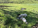 photo thumbnail #3
