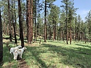 photo thumbnail #8