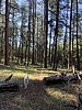 photo thumbnail #13