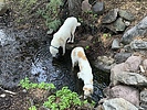 photo thumbnail #15