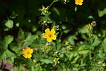 photo thumbnail #14