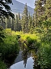 Featured Full Photo