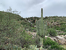 photo thumbnail #9