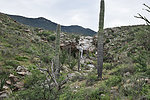 photo thumbnail #11