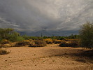 photo thumbnail #7
