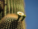 photo thumbnail #9