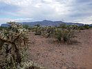 photo thumbnail #5